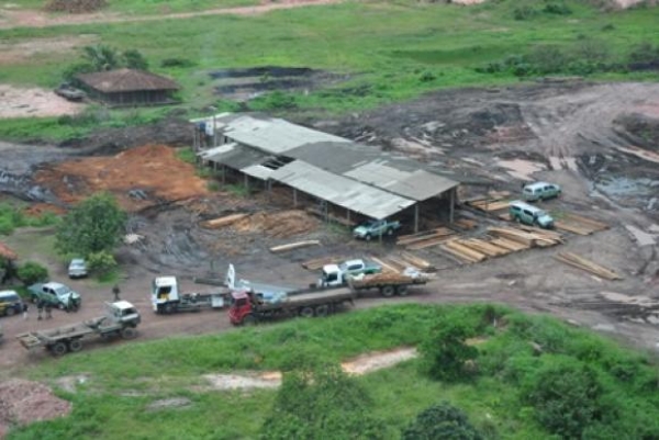 Operação Lignum explode serrarias ilegais e prende madeireiros no Maranhão