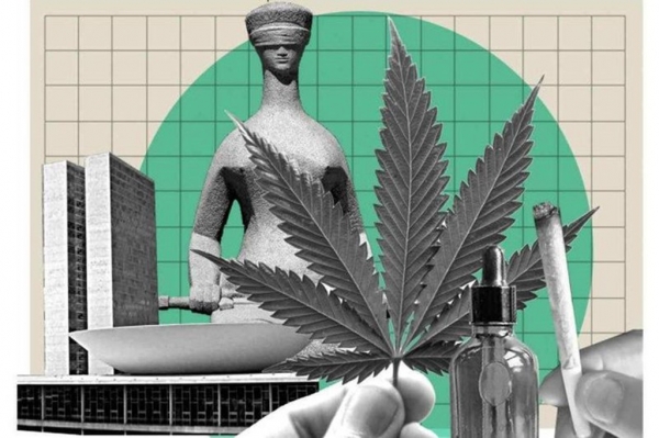 DEFENSORIA PÚBLICA PEDE SUSPENSÃO DE PROCESSOS POR PORTE DE MACONHA EM ITAPECURU-MIRIM NO MA; PRÁTICA NÃO FOI LEGALIZADA