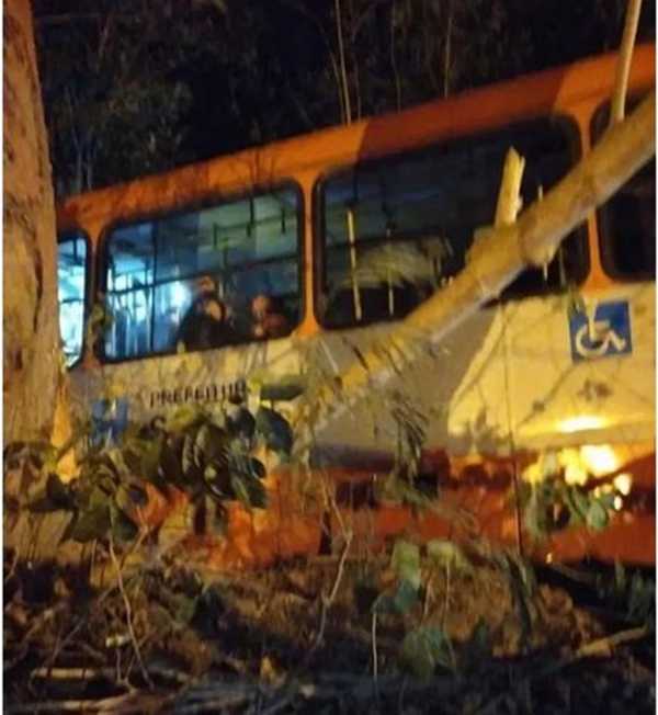 Ônibus com passageiros perde o controle e cai em área de mangue na Avenida dos Africanos em São Luís 