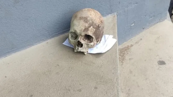 Homem que deixou crânio na porta de delegacia responde por crime feminicídio