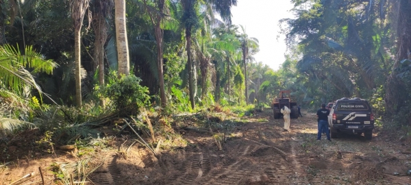 OPERAÇÃO PROTETORES DOS BIOMAS: QUATRO PESSOAS SÃO PRESAS POR DESMATAMENTO DE ÁREA DE PROTEÇÃO PERMANENTE EM GOVERNADOR EDSON LOBÃO