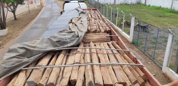 BR-010: mais um carregamento de madeira irregular apreendido