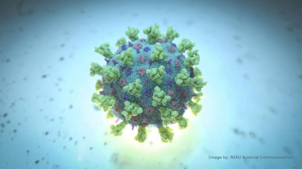 Maranhão chega a 261.350 casos de Covid-19 nesta sexta-feira (23)