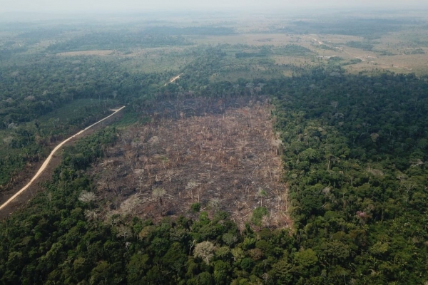 Focos de incêndio na Amazônia caíram 16% em setembro