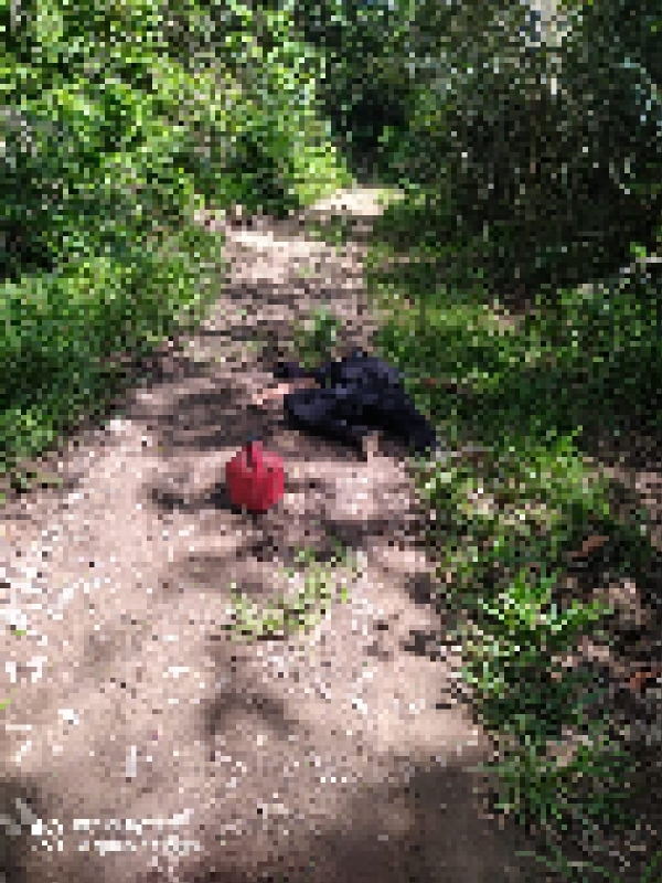 MARANHÃO - Funcionário de fazenda é assassinado a tiros 