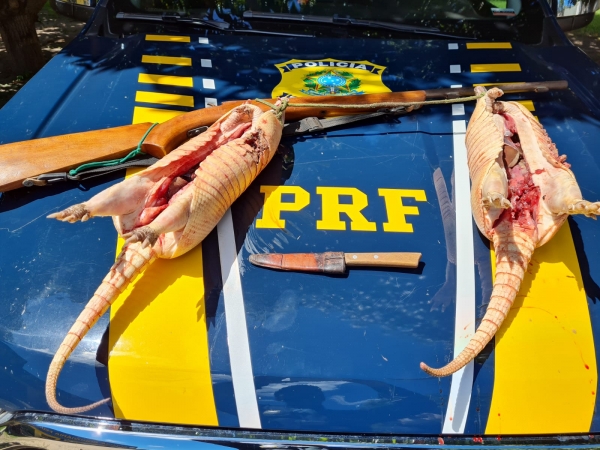 PRF prende homens transportando tatus mortos na BR-316 no Maranhão