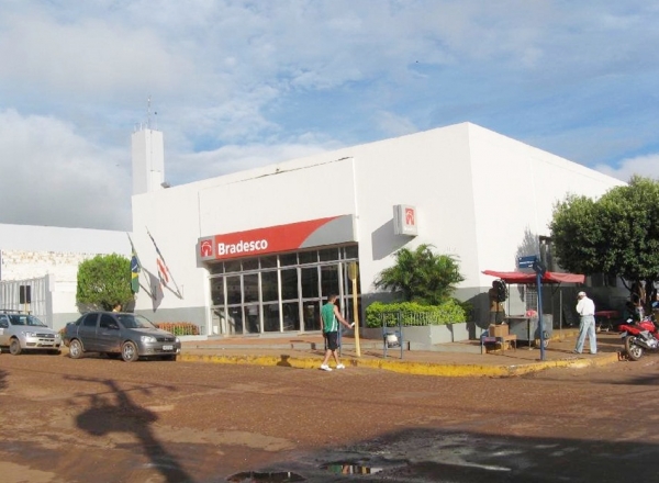 Imagem do Dia - Bezerro é flagrado dentro de Agência Bancaria do Banco  Bradesco em Açailândia