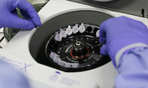 Número de casos suspeitos de coronavírus no Brasil é de 132