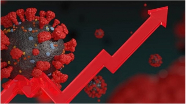 Maranhão registra 1431 novos casos e 40 mortes por Covid-19 