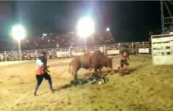 Em Imperatriz peão fica paraplégico após ser pisoteado por touro