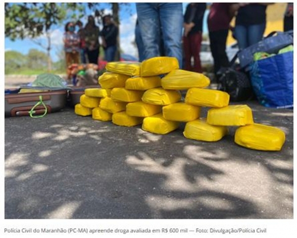 Droga avaliada em R$ 600 mil é apreendida pela Polícia Civil em São Luís