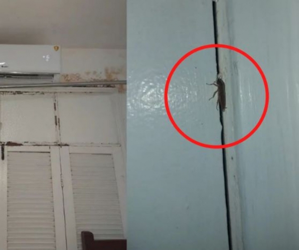 Em nova fiscalização, COREN aponta irregularidades no Hospital Regional