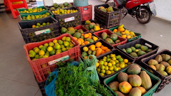 AÇAILÂNDIA BATE RECORDE DE PROPOSTAS APROVADAS NO PROGRAMA DE AQUISIÇÃO DE ALIMENTOS DA CONAB