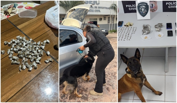 POLÍCIA CIVIL DEFLAGRA OPERAÇÃO DE COMBATE AO TRÁFICO DE DROGAS E PRENDE SETE PESSOAS EM SÃO LUÍS E REGIÃO METROPOLITANA