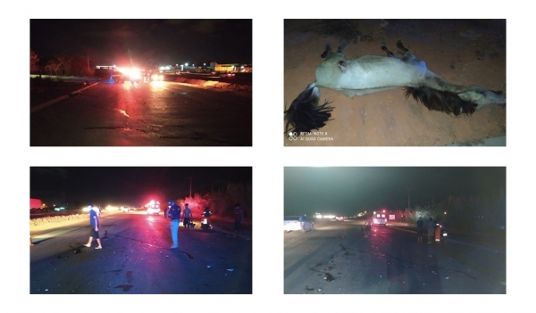 FINAL DE SEMANA TRÁGICO: PRF registra oito óbitos nas rodovias federais do Maranhão