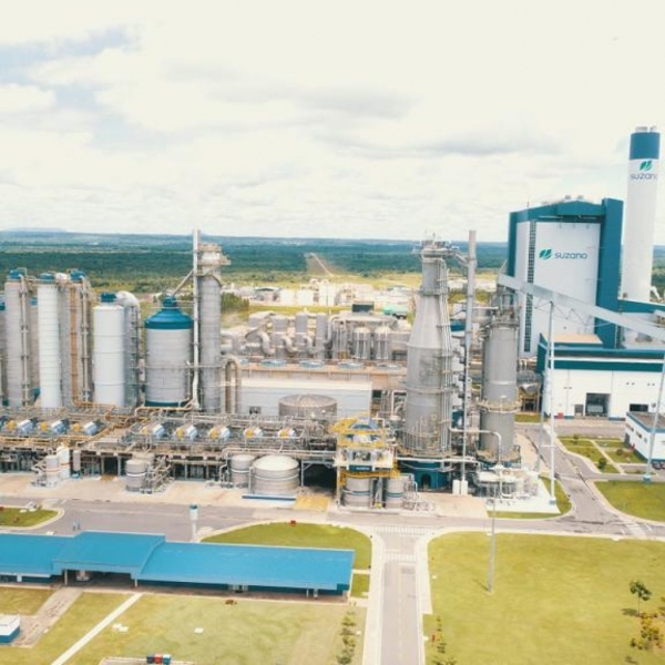 SUZANO OFERTA CURSO GRATUITO PARA MULHERES E PESSOAS COM DEFICIÊNCIA EM IMPERATRIZ