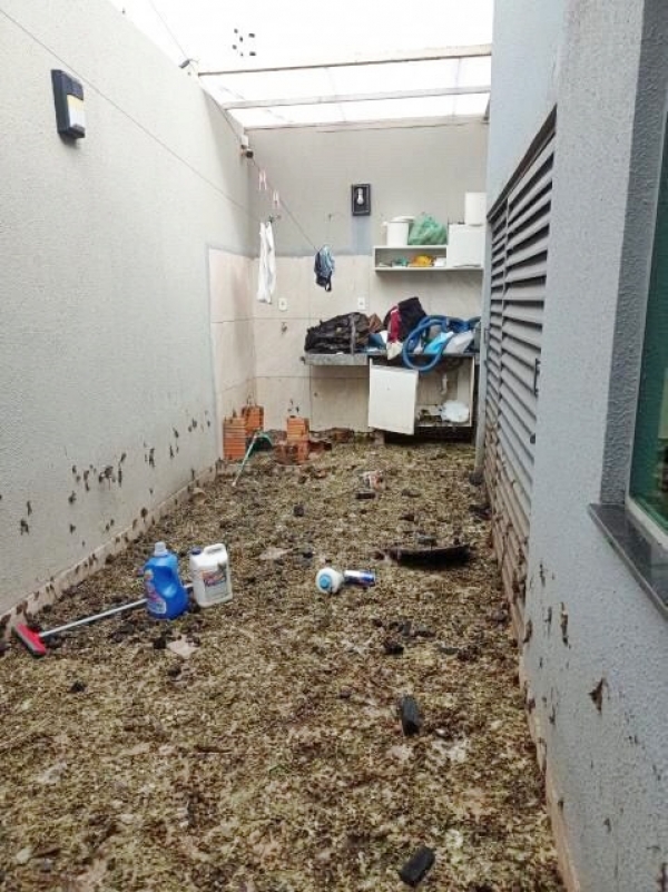 Colina Park: Casas e móveis destruídos após cheia do Rio Tocantins