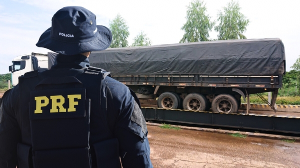 PRF APREENDE TRÊS CARREGAMENTOS ILEGAIS DE MADEIRA NATIVA NA REGIÃO TOCANTINA DO MARANHÃO