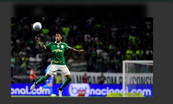 COM EMOÇÃO MAIS UMA VEZ! PALMEIRAS MARCA AOS 52 E VENCE O BOTAFOGO-SP EM CASA