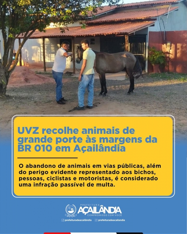 UVZ recolhe animais de grande porte às margens da BR 010 em Açailândia