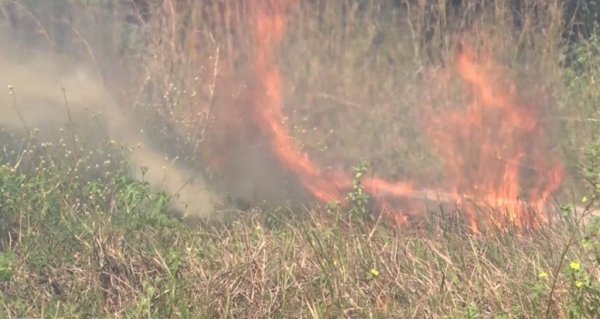 Decreto proíbe uso de fogo para limpeza de áreas no Maranhão