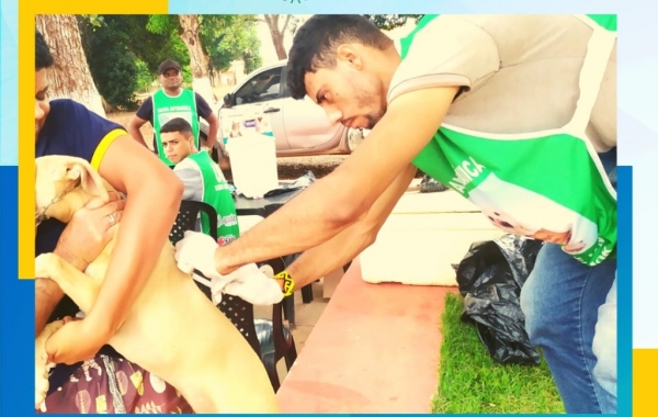 AÇAILÂNDIA - Campanha de vacinação antirrábica para cães e gatos continua sendo realizada na Zona Rural