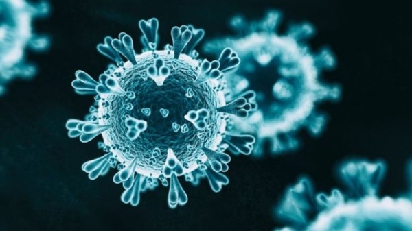 Mais de 5,9 mil pessoas estão curadas do novo coronavírus no Maranhão