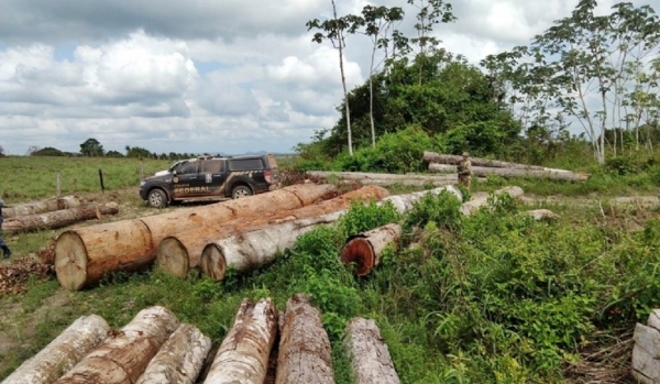 PF realiza operação contra crimes ambientais em terras indígenas no Maranhão