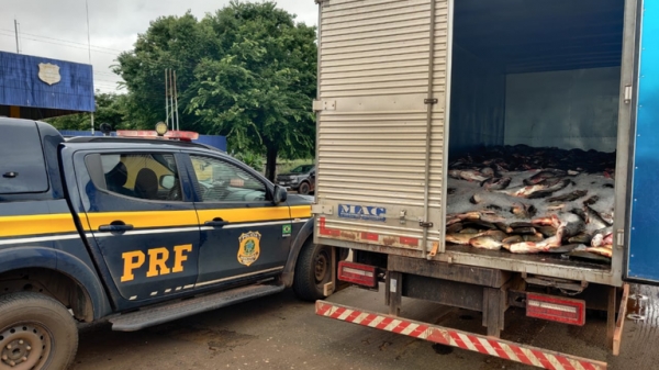 PRF APREENDE MAIS DE 4,7 TONELADAS DE PEIXES IMPRÓPRIOS PARA CONSUMO NO MARANHÃO