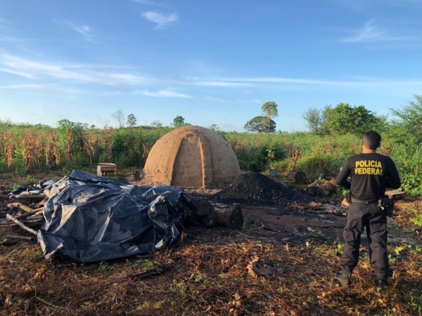 PF DEFLAGRA OPERAÇÃO RELUTANTE EM COMBATE À EXTRAÇÃO E COMERCIALIZAÇÃO ILEGAL DE MADEIRAS NO MA