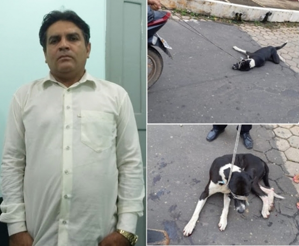 VÍDEO - Motorista é preso por amarrar e arrastar cachorro por ruas em Imperatriz