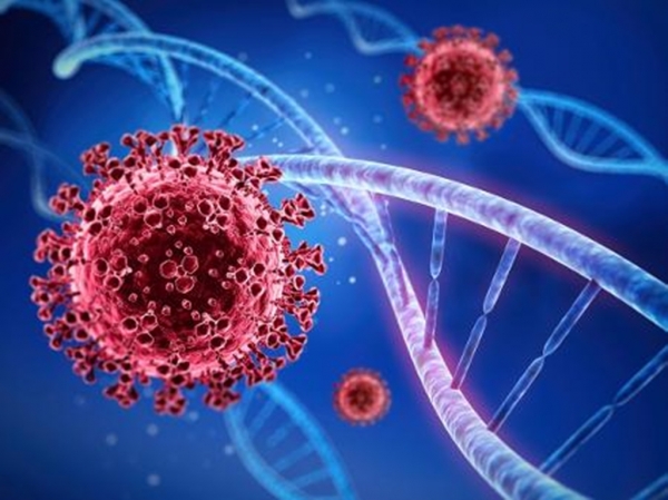 Maranhão registra 386 novos casos e 30 mortes por Covid-19 nas últimas 24h