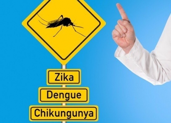 AÇAILÂNDIA URGENTE - Quase mil cidades podem ter surto de dengue, zika e chikungunya