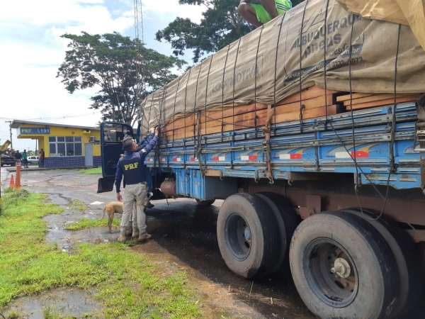 MARANHÃO - PRF apreende mais um carregamento ilegal de madeira na BR-316 