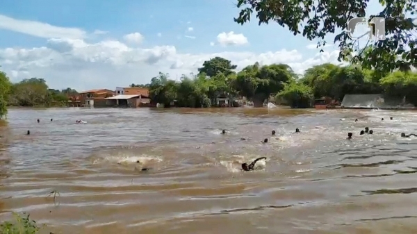Ponte desaba e deixa feridos em Bacabal, no Maranhão; VÍDEO