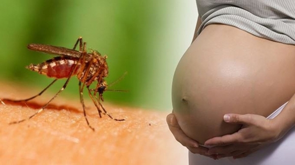 Zika no Brasil atinge mais mulheres do que homens