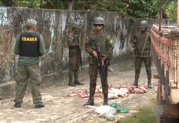 Ibama e Exército realizam operação de combate a crimes ambientais no MA