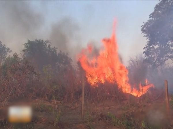 Maranhão já registrou mais de 5,7 mil focos de incêndio em 2021, aponta INPE