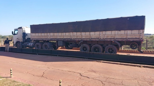 PRF apreende 38m³ de madeira transportada ilegalmente em Imperatriz