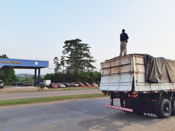 AÇAILÂNDIA - PRF apreende carga de madeira irregular na BR 222