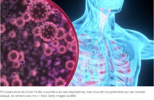 Maranhão supera a marca de 400 mil pacientes recuperados da Covid-19