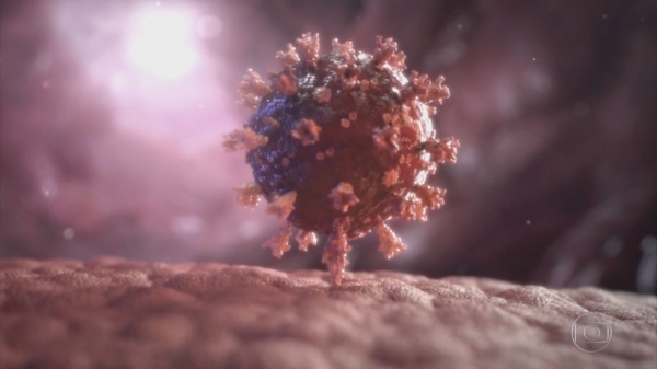 Maranhão tem mais cinco mortes por coronavírus e número de infectados sobe para 203.423