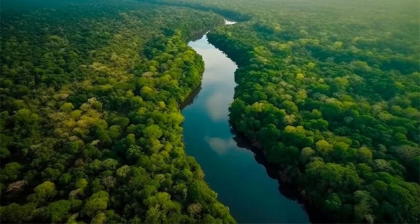 COM APOIO DO FUNDO VALE, PLATAFORMA JORNADA AMAZÔNIA INJETARÁ ATÉ R$ 4,2 MILHÕES NO ECOSSISTEMA DE INOVAÇÃO DA AMAZÔNIA LEGAL