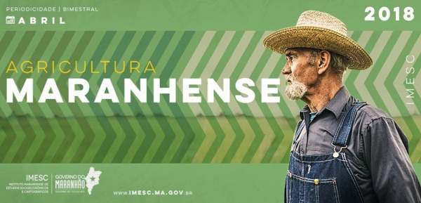 Maranhão é o segundo maior produtor de soja do Nordeste