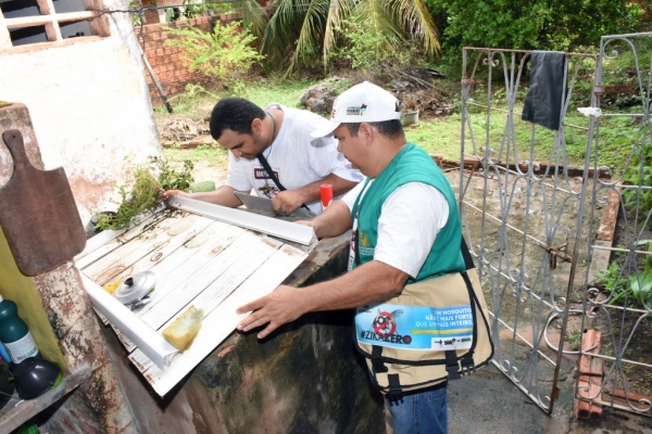 Casos de dengue caem 74% no Maranhão