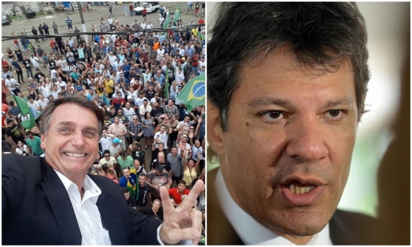 Ibope: Bolsonaro tem 59% dos votos válidos; Haddad tem 41%
