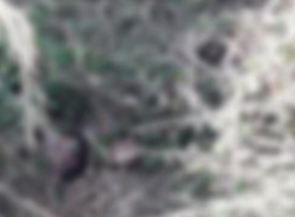 IMPERATRIZ - Corpo de jovem é encontrado em matagal na Vilinha