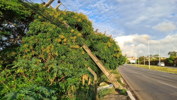 Motorista perde o controle e bate em poste de alta-tensão em avenida em São Luís