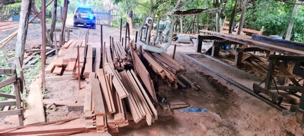 MARANHÃO - Operação fecha serrarias em área da Terra Indígena Arariboia