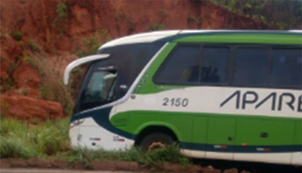 Ônibus intermunicipal perde o controle e sai da pista na BR-010